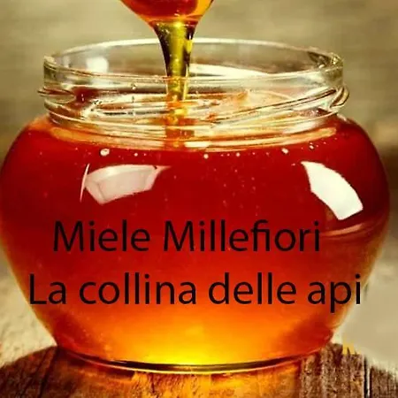 Floriani マチェラータ