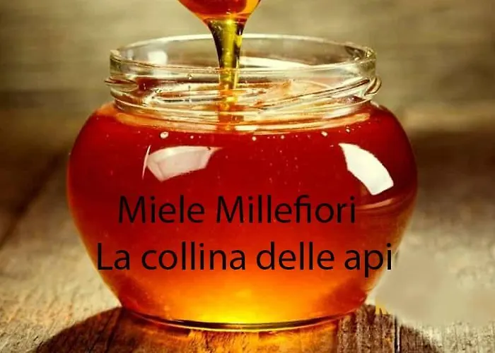 Floriani Macerata